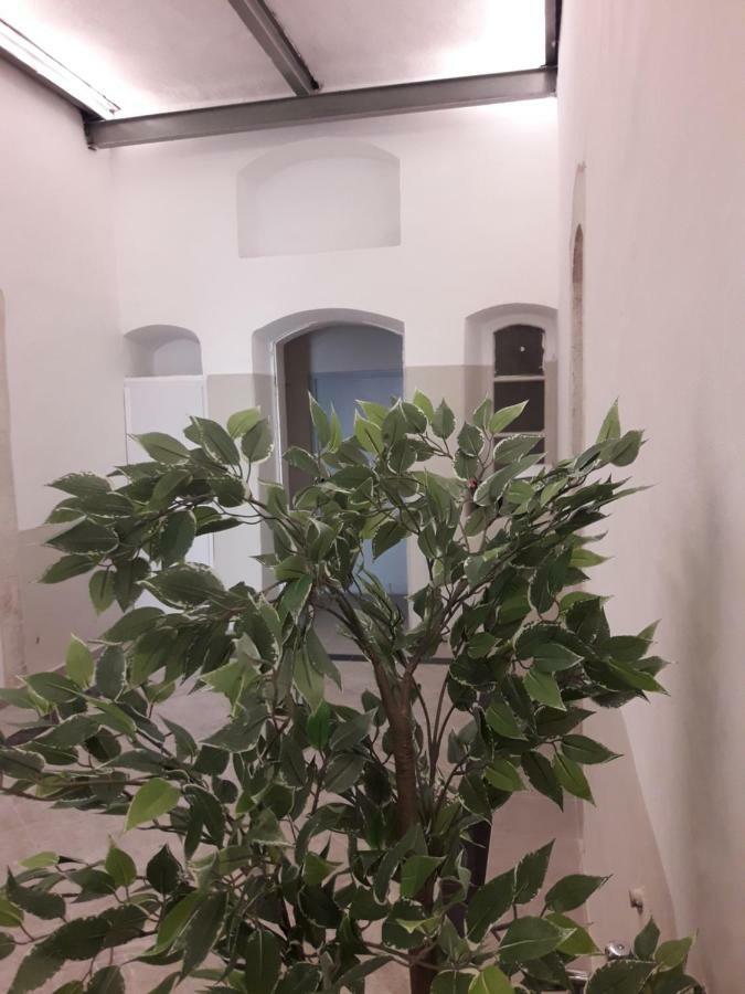 Queen Hotel Jerusalem Eksteriør bilde